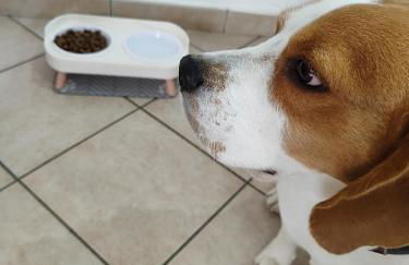 Degli Angioini Holiday Home - Foto 78