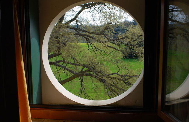 Agriturismo Bosco del Gal - Photo 37