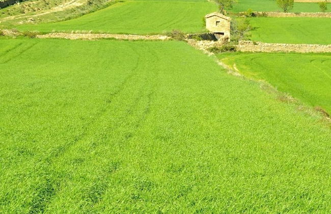 Alojamientos rurales Angelita - Foto 35