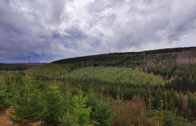 Accessible Stay in Nature - Foto 39