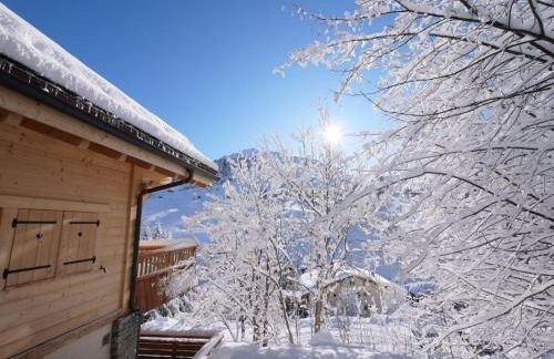 Coeur de Samance - Foto 6