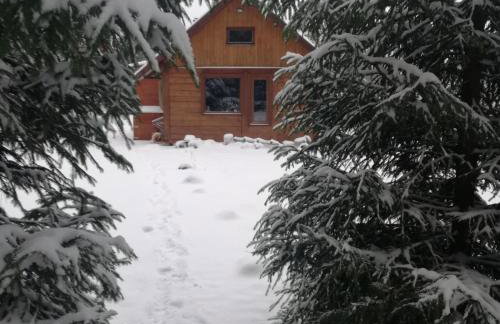 Podlaskie Żuczki - Foto 19