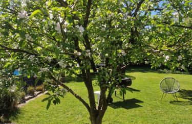 Schöne Ferienwohnung im Herzen Aurichs - Foto 24