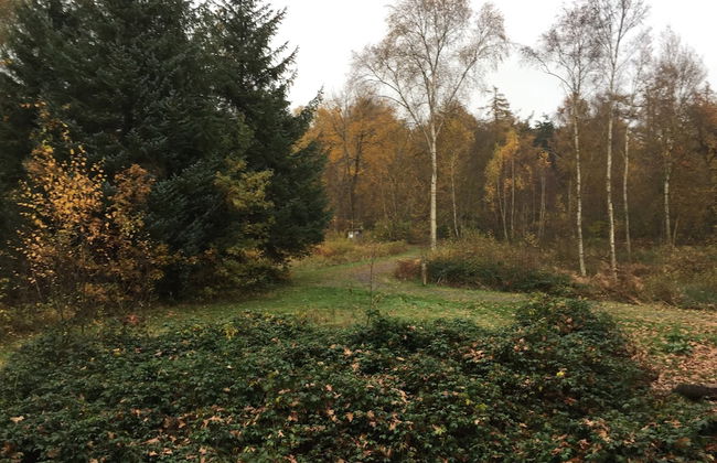 Holiday Home in Koekelare With Scenic Views - Photo 38