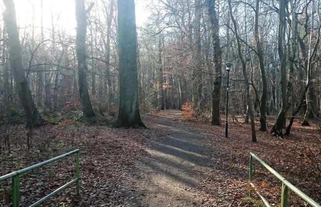 "La Mer" Haus Windrose - Photo 11