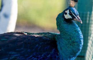 Quinta da Tapada - Foto 42