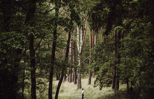 Apartment in Gronowo Near Lake Siecino - Photo 19