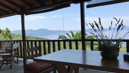 Olive Grove House - Foto 3