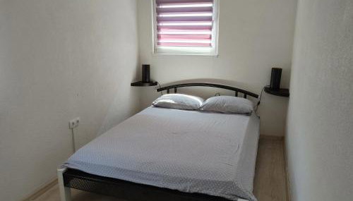 green garden - Photo 5