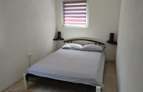 green garden - Photo 5