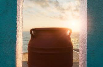 Alpha Studios - Foto 26