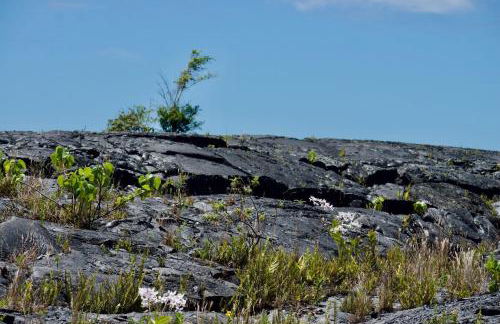 Comfort Nest - Foto 47