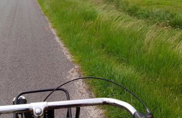 FeWo Unner'd Kastanje - Foto 22