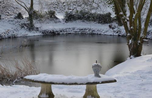 Charmant gîte à la ferme avec terrasse et vue sur la mare - FR-1-590-540 - Foto 14