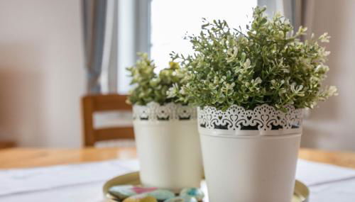 Schäferhof Dircks Fewo 3 - Photo 5