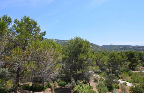 Finca S'estepa - Foto 51