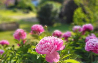 Ferienwohnungen Rodler - Photo 10