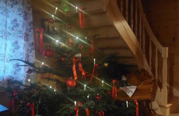 Domek u Heli - Foto 24