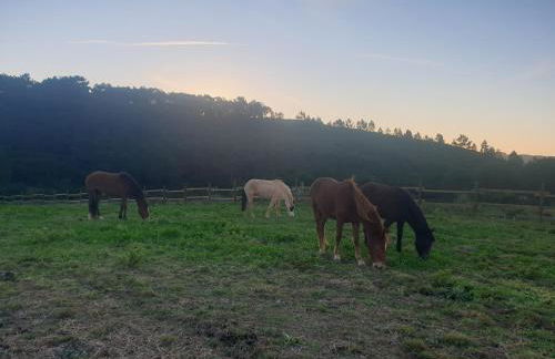 Sondela Self Catering - Foto 29