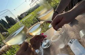 Agriturismo Tenuta Mariani - Foto 75