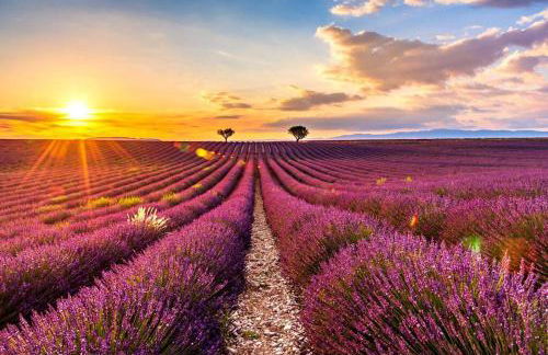 Haut de villa rénovée en 2023 - Foto 8