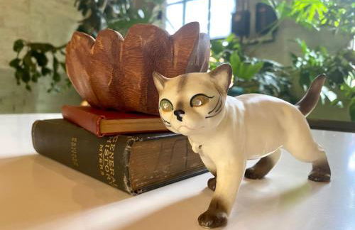 Downtown Lynchburg REAL loft living Va Virginia - Foto 30