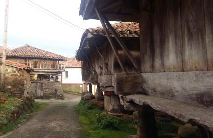 El Requexu de Cervera - Foto 36