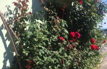 Holiday Home Mađerka - Foto 56