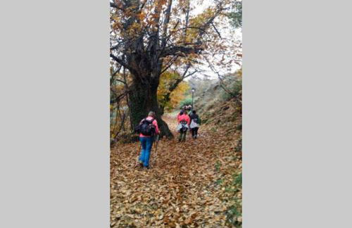 Casa Pedregosa Bubión - Photo 20