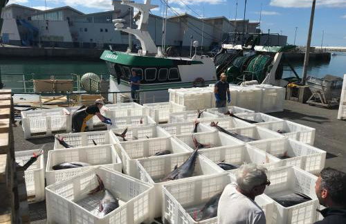 Maison, 2 chambres, 400m de la plage. - Foto 25