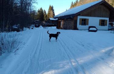 Hüttenzauber Ferienwohnung mitten im Nationalpark - Foto 22