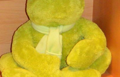 Ferienwohnung Waldblick Bückeburg - Photo 19