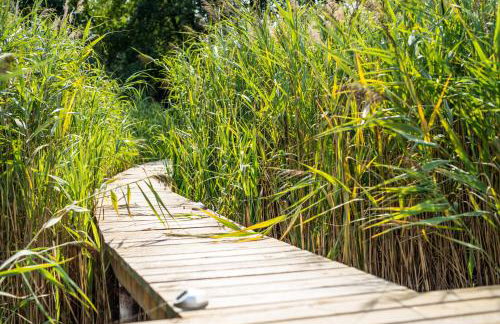 Dom nad jeziorem Sapowice - Foto 25