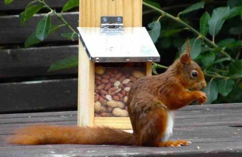 Adorable Victorian 1 bedroom annexe - Photo 32