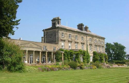 The Grocery Shop - Foto 24