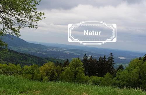 Ferienhaus Klingenbrunn - Foto 33