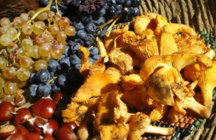 Tuttifrutti holiday - Foto 56