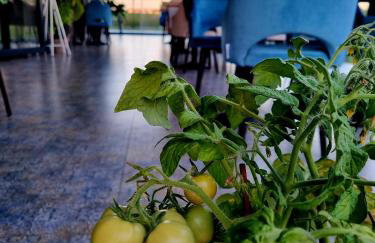 Apartamenty Przystanek Plaża Sarbinowo - Photo 39