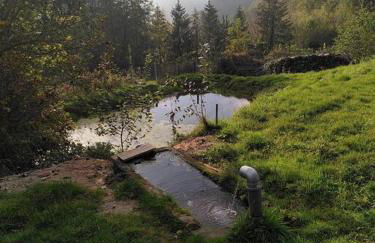 La chouette dort le gîte du retour à la source - Photo 25