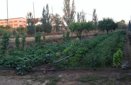 Casa Rural la Vallejera - Foto 79