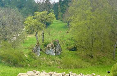 Ferienwohnung am Kappenturm - Foto 27