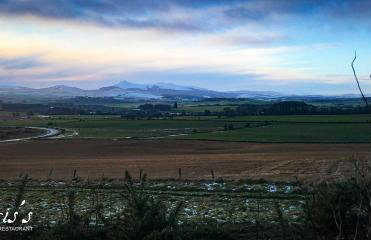 Morris Gardens Apartments - Foto 13