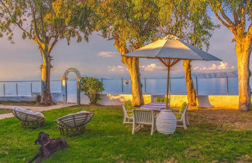 LeMaMi Seafront Bungalows - Foto 2