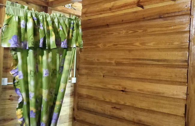 Berkey's Jungle Paradise - Photo 12