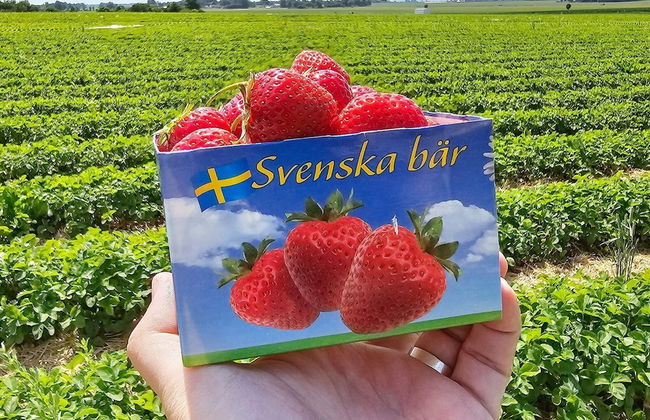 5 Star Holiday Home in Trelleborg-by Traum - Foto 21