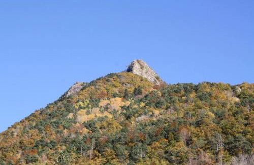 Mimosa 7 - tucasaenlospirineos - Foto 7