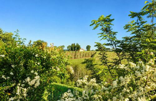 Agriturismo il Pino - Bioagricoltura - Foto 22