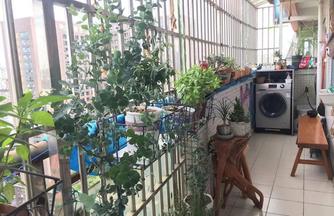 A House with Tea Fragrance - Foto 1