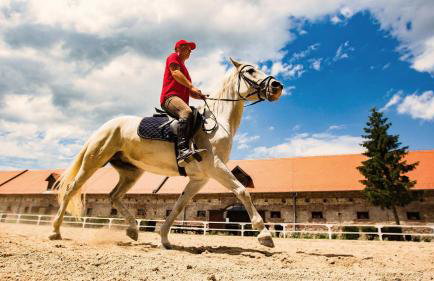 Holiday Home Lucia - Photo 36