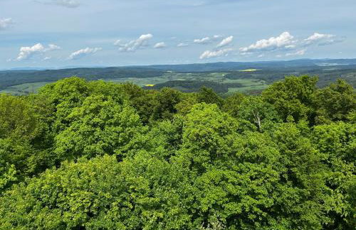 FEWO Unterm Stein - Ganzes Haus - bis 11 Gäste - Foto 45